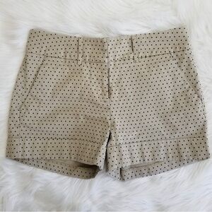 New York & Company khaki dot shorts